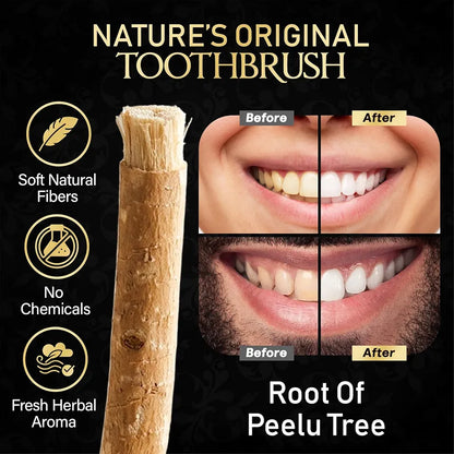 Zyntriga Natural Miswak Stick | Traditional Oral Care